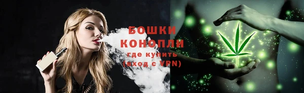 стаф Приозерск
