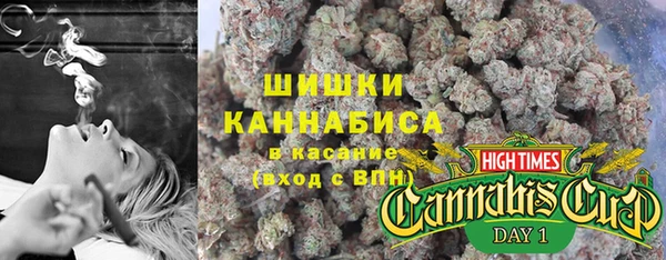 сатива Дмитриев