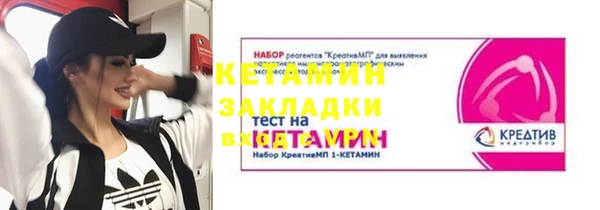 сатива Дмитриев