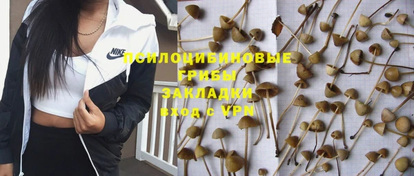 jwh Дмитров
