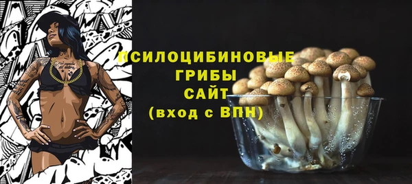 синтетический гашиш Пролетарск